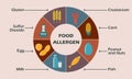 Food allergen icons set. Infographics design element. Colorful vector illustration. Royalty Free Stock Photo